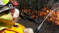 100 more US firefighters to join battle against Australian wildfires