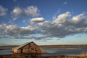 In this Oct. 22, 2019 photo, a barn sits in floodwaters in Pacific Junction, Iowa. The floodplain awaiting this year's surge is part of a changing picture, altered from just a few decades ago. It is now dotted with more parks, marshes and forests on land surrendered in recent years by communities and individuals. Image: AP Photo/Nati Harnik