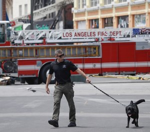 A search dog is used at the scene of a fire and explosion Monday, May 18, 2020, in Los Angeles. The Fire Department was at the nondescript commercial building late Saturday afternoon when there was a thunderous explosion that sent firefighters scrambling through searing flames to get out of the building. Twelve firefighters were injured. All are expected to survive.
