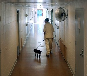 New Jersey's Edna Mahan Correctional Facility inmate Mary Tobin, walking a puppy down a cell block hallway as part of a program called Puppies Behind Bars.