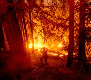 California plans to authorize a $536 million allocation toward forest management and wildfire prevention ahead of this year's wildfire season.