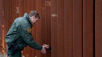 Border Patrol chief is forced out; replacement sought