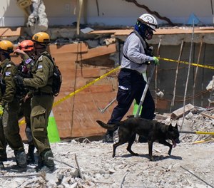 A dog aiding in the search walks past a team of search and rescue personnel atop the rubble at the Champlain Towers South condominium in Surfside, Florida.