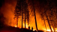 Hellish fires, low pay, trauma: CAL FIRE firefighters face morale crisis