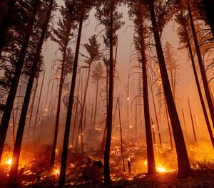 The Dixie Fire burns along a hillside near Taylorsville in Plumas County, Calif., on Friday, Aug. 13, 2021. The fire destroyed multiple homes in the area earlier in the day.
