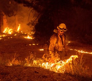 While battling the Caldor fire, firefighters burn vegetation to create a control line along Highway 50 in Eldorado National Forest, Calif.