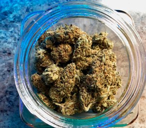 In this April 8, 2019, file photo, a jar of medical marijuana sits on the counter at a dispensary in Sherwood, Ore.