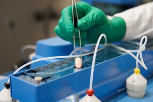 Paxlovid has been shown to have mild side effects and superior effectiveness.