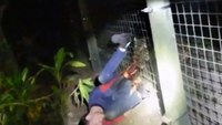 Fla. deputy shoots zoo tiger biting man's arm