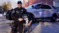R.I. bill to let EMS providers treat K-9 officers passes in House