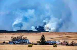 The Calf Canyon Fire burned north of Las Vegas near the San Miguel and Mora County line.