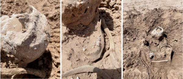 These photos shows human remains discovered on a sandbar that recently surfaced as Lake Mead recedes. A closer look revealed a human jaw with teeth. The National Park Service confirmed in a statement that the bones are human.