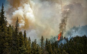Fire raged along a ridgeline east of highway 518 near the Taos County line as firefighters from all over the country battled the Hermit's Peak and Calf Canyon fires on May 13.