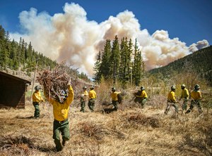 Firefighters with Structure Group 4 cleared brush and debris away from cabins along Highway 518 in New Mexico on May 13.