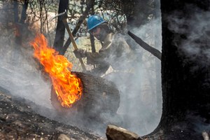 Carson Hot Shots member Tyler Freeman works to keep a burning log from rolling down a slope on May 23 as he and his co-workers work on hot spots from the Calf Canyon/Hermits Peak Fire in the Carson National Forest west of Chacon, N.M.