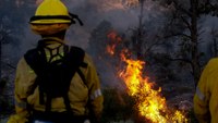 Situational awareness on wildland fires: Share the mental workload