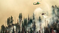 Flying tree debris hundreds of feet over Yosemite nearly strikes firefighting plane