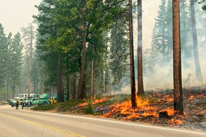 The Washburn Fire was burning next to a roadway north of the Wawona Hotel in Yosemite National Park, Calif., on Monday. A heat wave was developing, but winds were light as firefighters battled a wildfire that poses a threat to a grove of giant sequoias and a small community in Yosemite National Park.