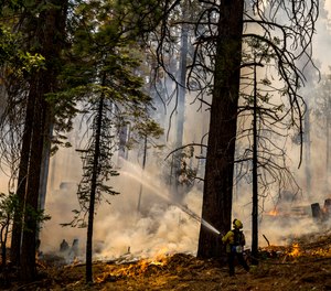 A CAL FIRE firefighter puts water on a tree as a backfire burns along Wawona Road during g the Washburn Fire in Yosemite National Park, Calif. Monday, July 11, 2022.