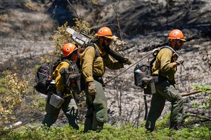Firefighters worked on the Washburn Fire near Yosemite National Park's south entrance on July 12.