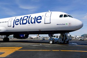 The plane's pilot did not have to make an emergency landing.
