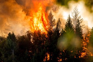 The Mosquito Fire burns along a ridge top in unincorporated Placer County, Calif., on Sept. 8. A handful of firefighting pilots have used new night goggle technology to combat the Fairview and Mosquito fires.