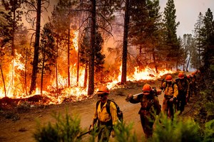 Firefighters walk past backfire flames lit by firefighters to burn off vegetation while battling the Mosquito Fire in El Dorado County, Calif., on Friday.