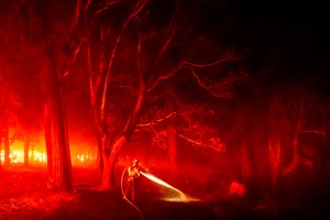A firefighter hoses down hotspots as the Mosquito Fire burns in Placer County, Calif., on Tuesday.