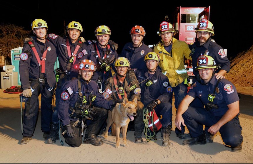 Firefighters pose with Cesar, a blind dog that was rescued from a hole in Pasadena, Calif.