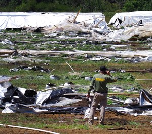 Josephine County Sheriff Dave Daniel stands amid the debris of plastic hoop houses destroyed by law enforcement, used to grow cannabis illegally, near Selma, Ore., June 16, 2021.