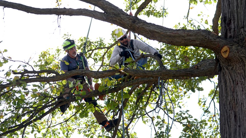 Journeyman trimmer and instructor Jeffrey Gunnells, left, gives direction to Dennis Galloway at the DTE Energy Tree Trim Academy. DTE Energy partnered with IBEW Local 17, the city of Detroit and nonprofits to recruit residents from the city and surrounding communities to enroll in its Tree Trim Academy to train local residents on line clearing.