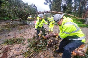 Firefighters cleared away a fallen tree in Montecito, Calif., Tuesday. California saw little relief from drenching rains Tuesday as the latest in a relentless string of storms swamped roads, turned rivers into gushing flood zones and forced thousands of people to flee from towns with histories of deadly mudslides.
