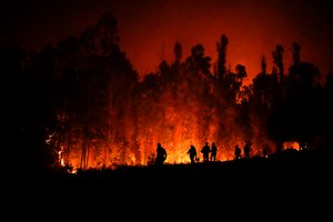 Volunteers carry supplies for firefighters near trees burning in Puren, Chile onFeb. 4, 2023. Wildfires are increasingly severe and costly worldwide.