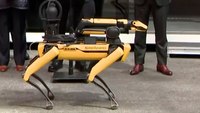 NYPD brings back robot dog despite criticism