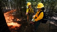 USFA, historic Black colleges unite for diversity in wildland firefighting