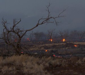 Flames from a wildfire burn in Kihei, Hawaii Wednesday, Aug. 9, 2023. Thousands of residents raced to escape homes on Maui as blazes swept across the island, destroying parts of a centuries-old town in one of the deadliest U.S. wildfires in recent years.