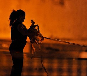 A Chicago Police detective collects crime scene tape from the scene early Friday, Sept. 20, 2013. (AP Photo/Paul Beaty)