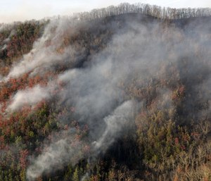 The review by ABS Consulting, conducted for about $100,000, examined the response by Gatlinburg and Sevier County agencies to the Nov. 28, 2016, wildfire. (Photo/AP)