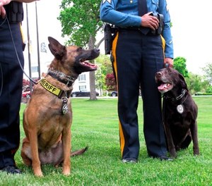 The dogs, ages 8 and 3½, were also used to help locate people with dementia and Alzheimer’s who had wandered away from their homes.