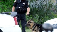 Official says K-9s may have to be killed if Ill. legalizes pot