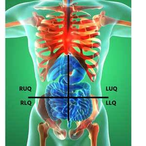 Many EMS providers utilize a four-quadrant approach for ease and speed: two upper and two lower quadrants, each split into left and right.