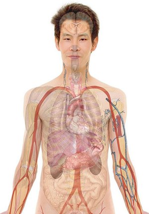 10 components of the life support chain are necessary to maintain adequate oxygenation, perfusion and cellular environment