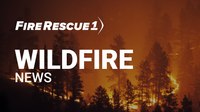 Wildland firefighter dies while assigned to Idaho’s Moose Fire