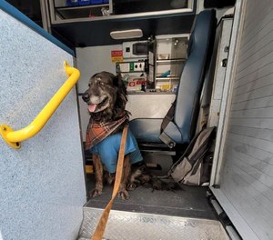 Bailey, a patient’s service animal, sits in the back of Medic 10 as medical personnel work with his owner. Firefighters stayed with Bailey at the facility until arrangements were made.