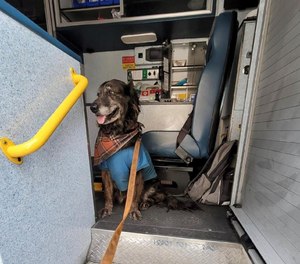 Bailey, a patient’s service animal, sits in the back of Medic 10 as medical personnel work with his owner. Firefighters stayed with Bailey at the facility until arrangements were made.
