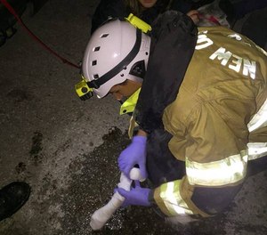 SAR K-9 Bruno cut his paw pad during deployment. Field care provided by Janick Lewis, NOEMS. It was a bloody, but minor injury. Of note, there are three handlers in this photo and only one provider. An injured K-9 wants to be surrounded by humans it knows and trusts.