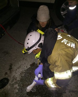 SAR K-9 Bruno cut his paw pad during deployment. Field care provided by Janick Lewis, NOEMS. It was a bloody, but minor injury. Of note, there are three handlers in this photo and only one provider. An injured K-9 wants to be surrounded by humans it knows and trusts. (Photo by LA-TF1 Canine Team)