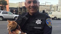 SF cops use cat to coax suicidal man off ledge