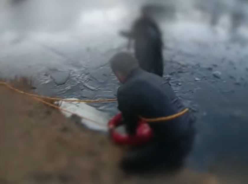 Video: Ill. officers rescue boy, woman from icy pond