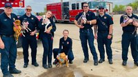 Photo of the Week: Texas heroes help puppies